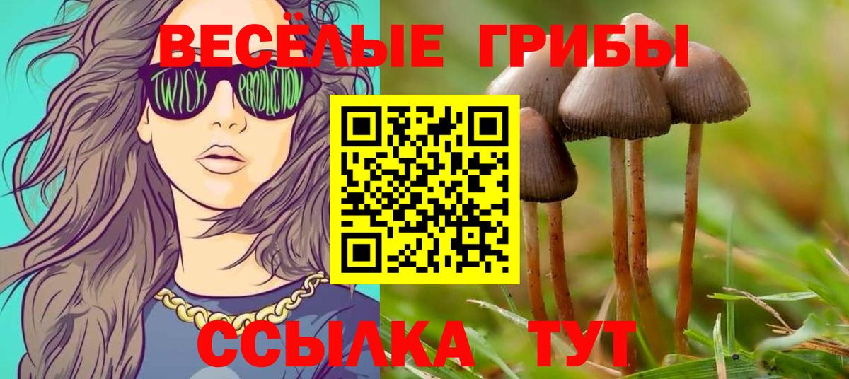 Лянтор  Галлюциногенные грибы Magic Shrooms  Вход с VPN 