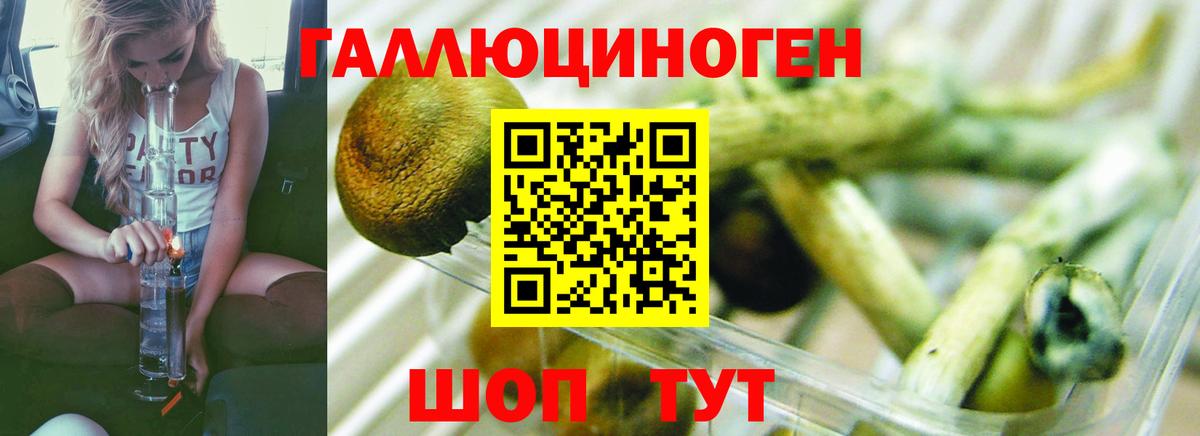 Псилоцибиновые грибы Magic Shrooms Лянтор